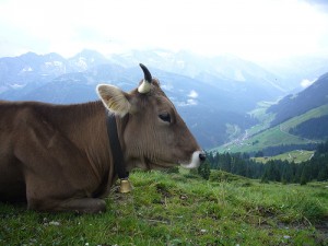 2013-04-17 Landau