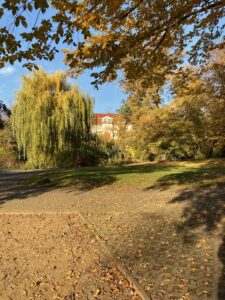 Autumn picture