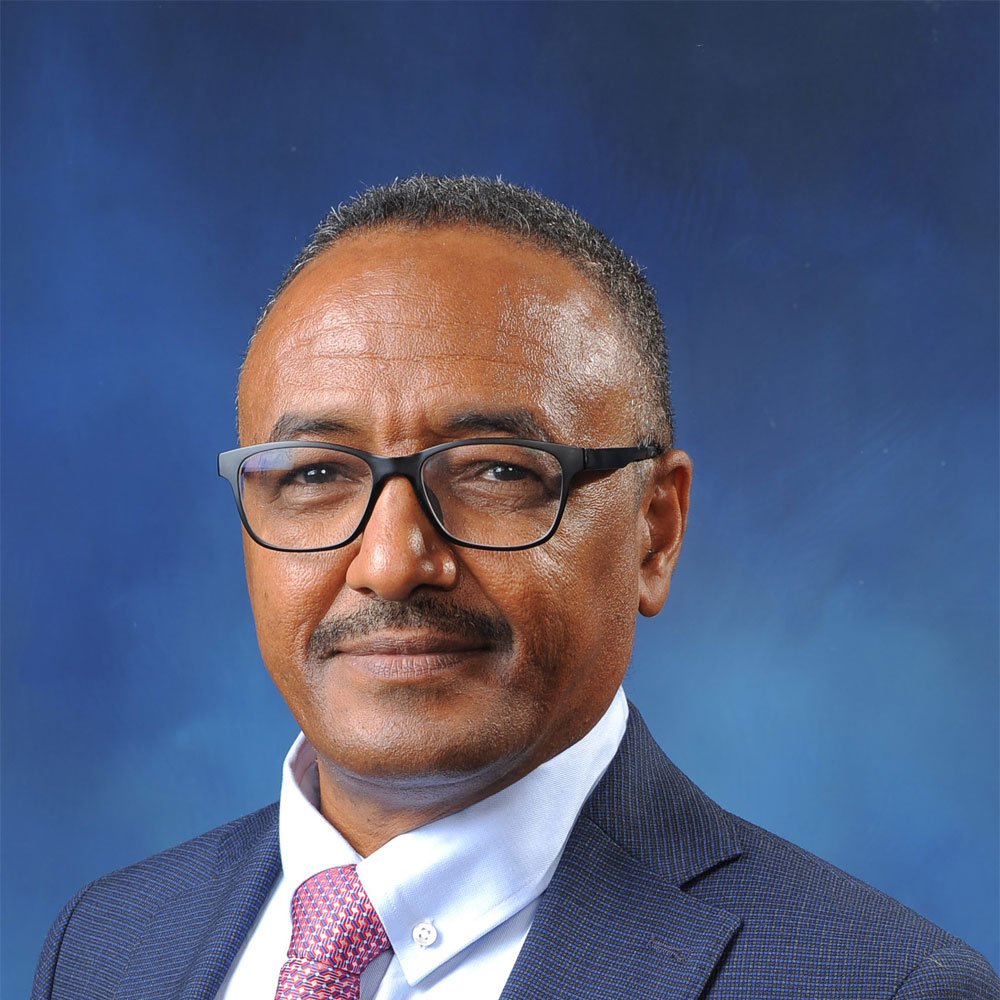 Sami Abdelhalim Saeed